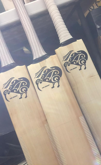 Bats with lighting.jpeg