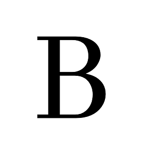 Logo der Unternehmen von Thomas Bolliger