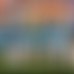 Charlotte FC's Predicted Starting XI vs Real Salt Lake