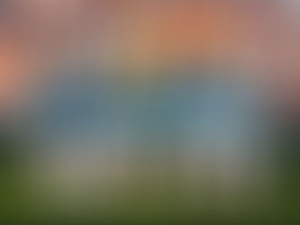 Charlotte FC's Predicted Starting XI vs Real Salt Lake