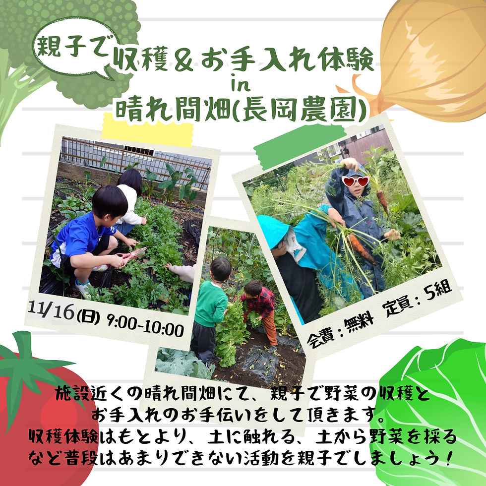 親子野菜収穫