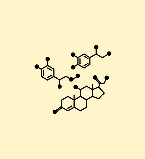 Hormonal health support