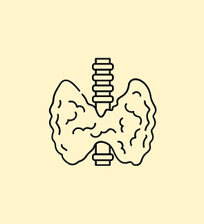 Thyroid health support