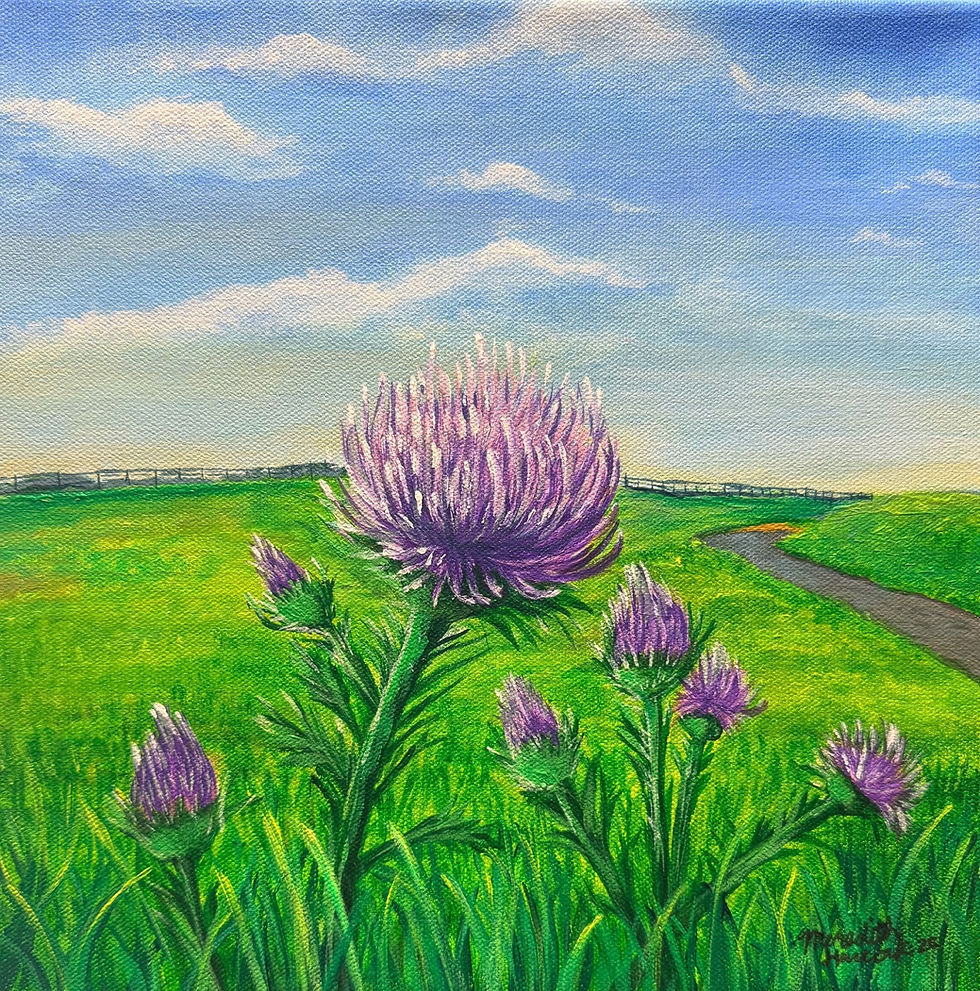 Trailside Thistle
