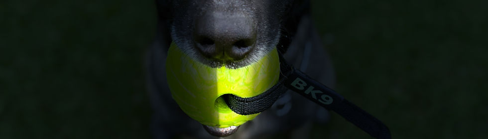 Shadow With BK9 ball3 heic_edited_edited.jpg