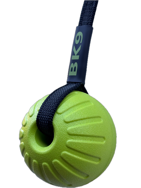 Green ball on rope.HEIC