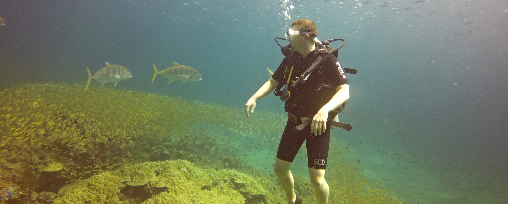 formation padi rescue diver à koh phi phi avec instructeur francophone