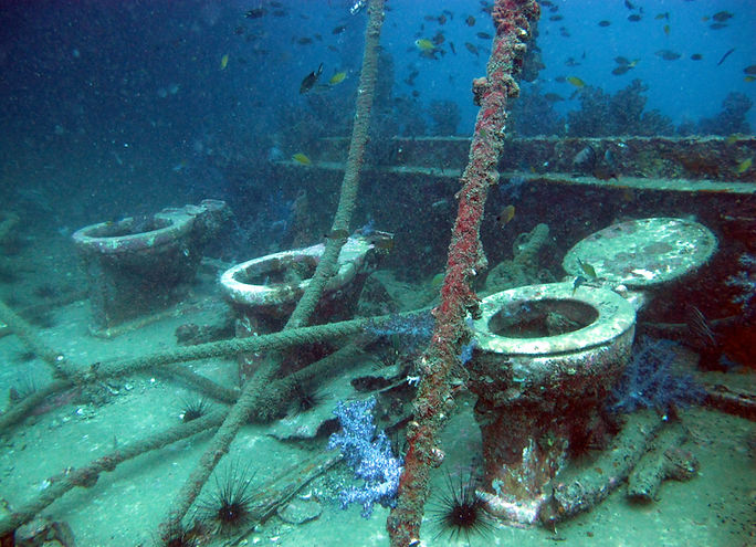 Toilettes du King Cruiser, plongée sur épave, Koh Phi Phi, Thaïlande
