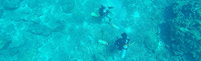Formation à la Spécialité plongée profonde PADI, Koh Phi Phi