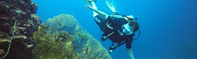 Formation d'Advanced Open Water Diver, le deuxième niveau de plongée PADI; Koh Phi Phi