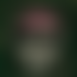 Luke Humphrey, Not Guilty. GOOD.