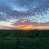 IMG_9355 (1).jpeg