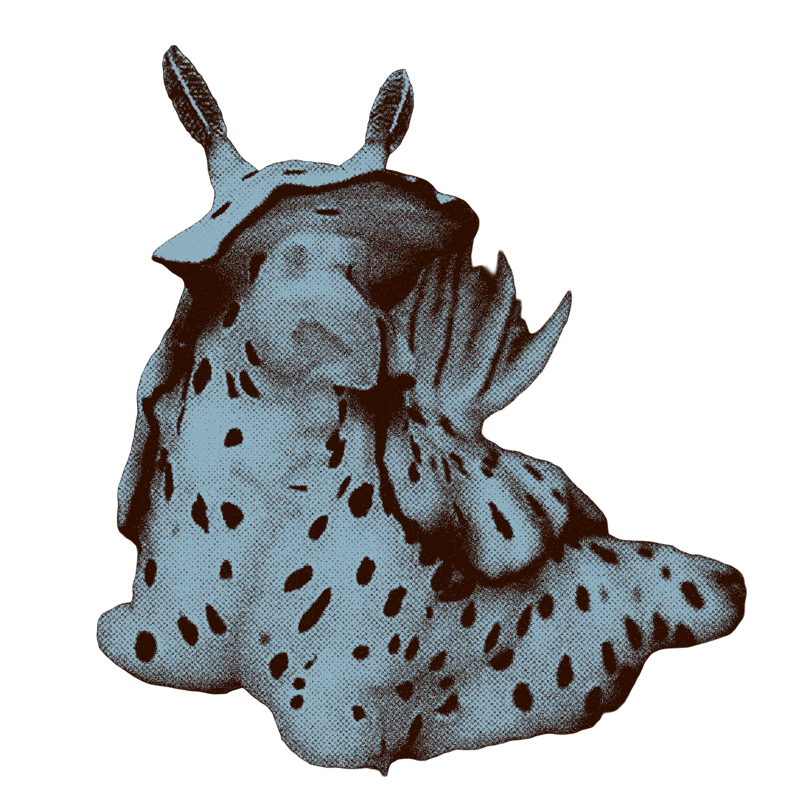 santi.png