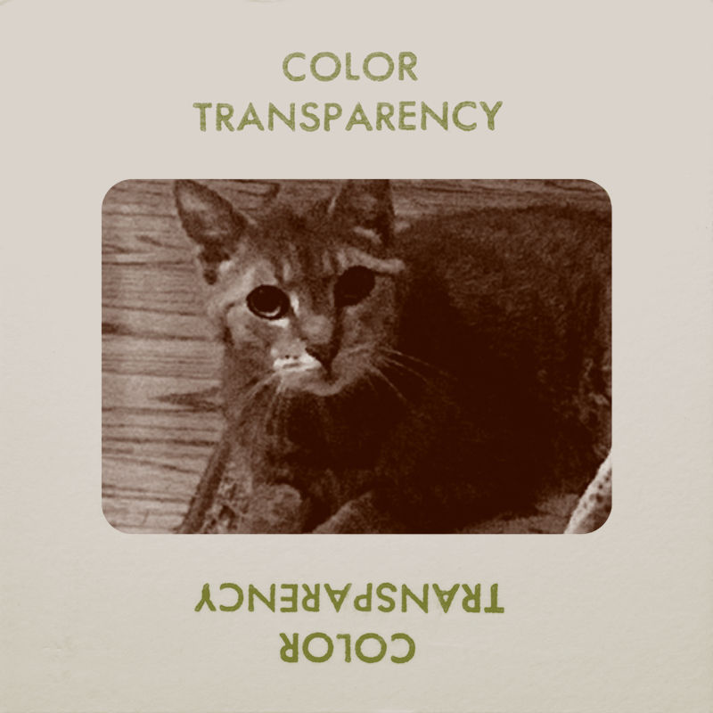 tr_template2_edited.jpg