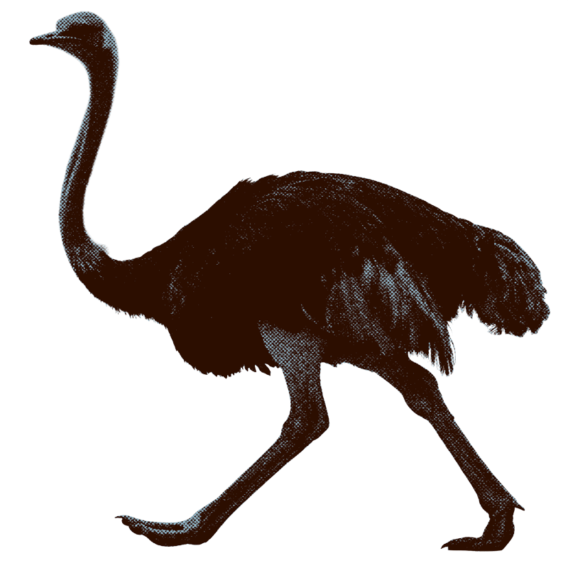 alex.png