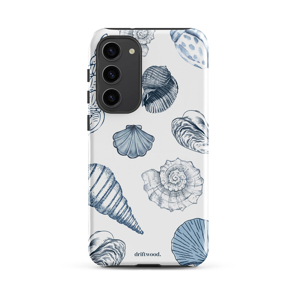 Thumbnail: Sea Shells