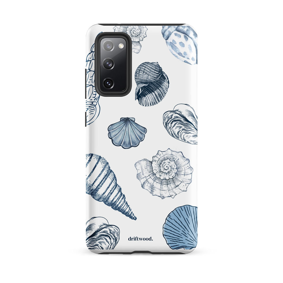 Thumbnail: Sea Shells