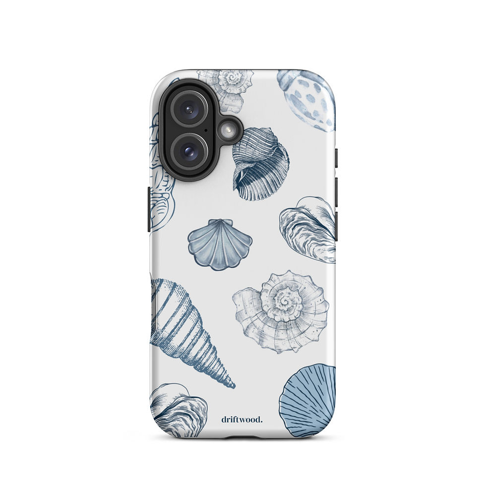 Thumbnail: Sea Shells