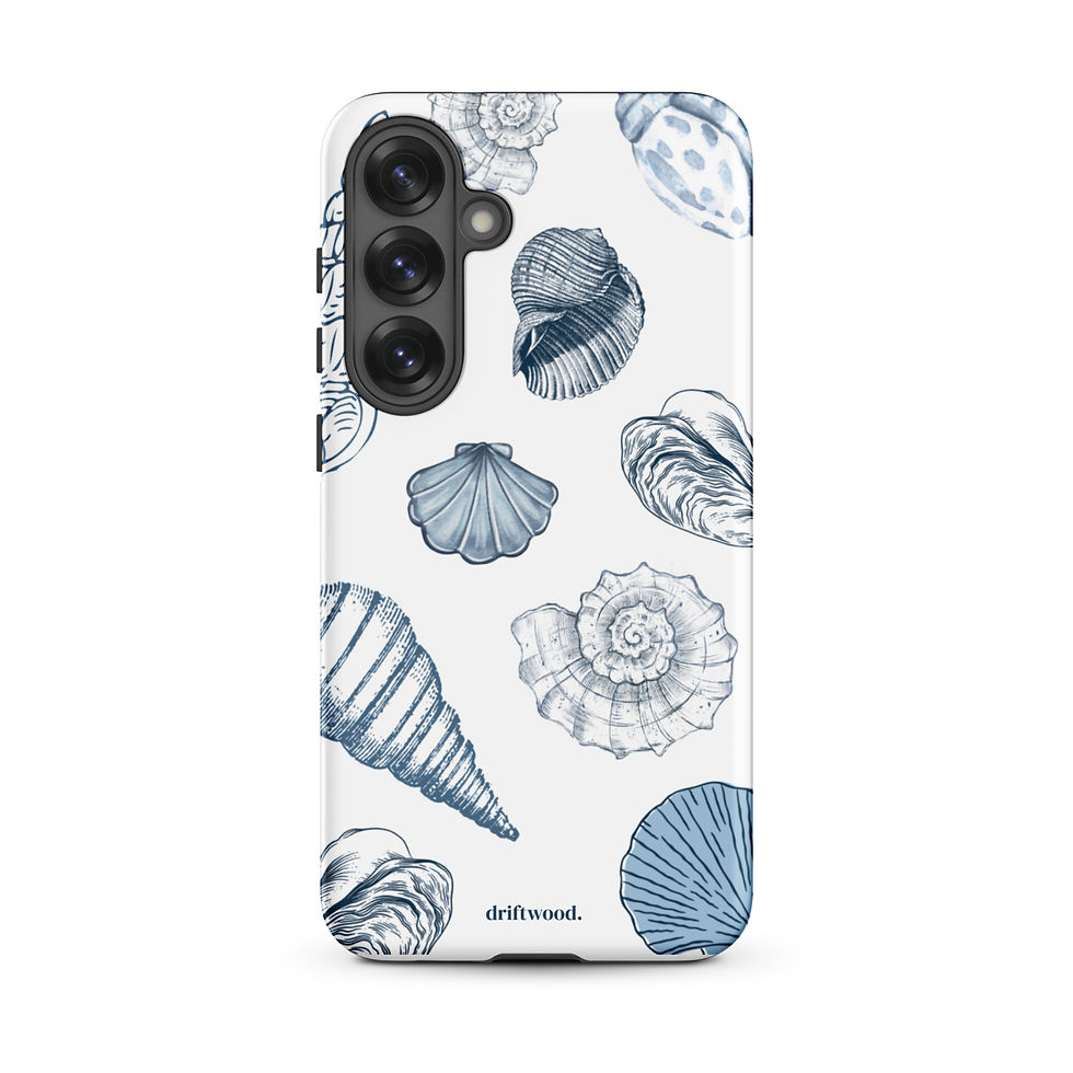 Thumbnail: Sea Shells