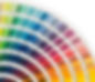 Webpics Pantone.jpg