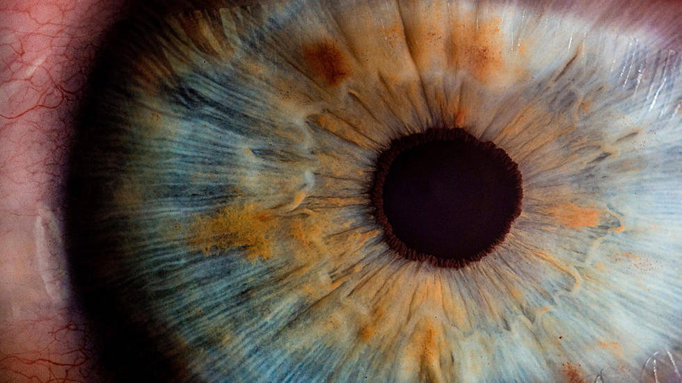 DRA MARIA PIA_OFTALMOLOGISTA.png