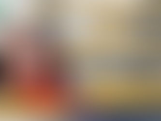 Mesa de Análisis: Problemática fronteriza