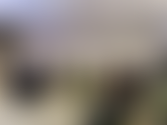 Maru Campos da conferencia ante militares que cursan la Maestría en SCDN