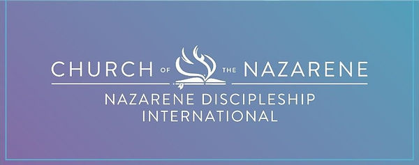 NDI banner 2.jpeg