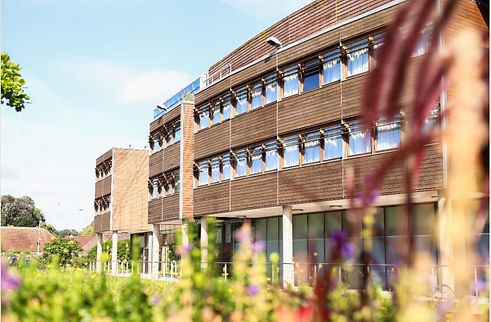 WhatsApp Image 2026-02-16 at 21.29.40 (2).jpeg