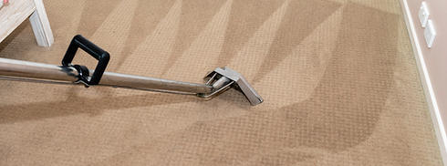 carpet cleaning