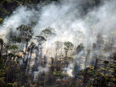 Vom Brandstifter zum Feuerwehrmann