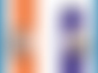 Frankreich vor Richtungswahl