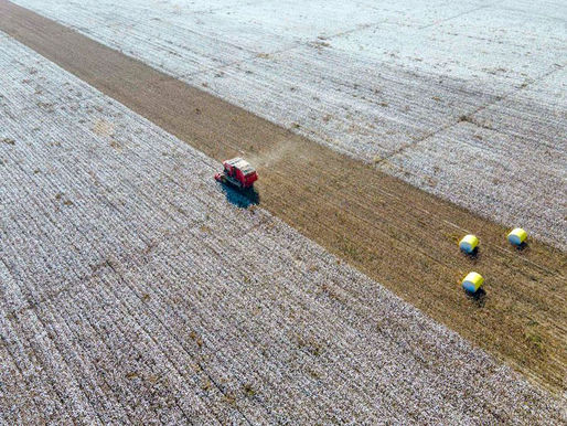 Wenn das Land verödet