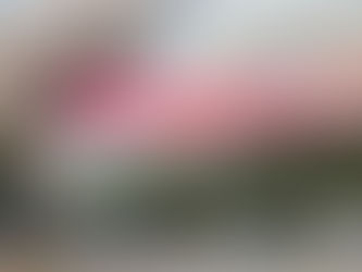 „Der Klimawandel ist hier“