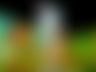 „Imagine van Gogh“