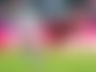 Remis im Spitzenspiel