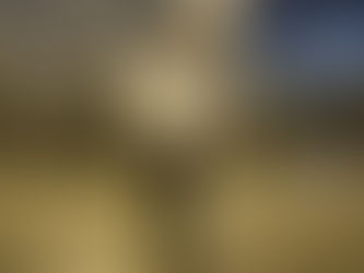 Weg frei für Neuwahlen