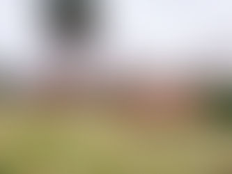 „Carpinchos” im Nordelta