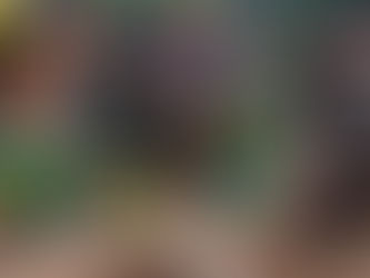 Schock in der Südsee