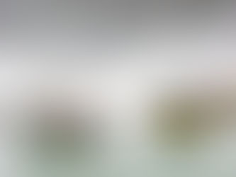 Säbelrasseln wegen Fischerei