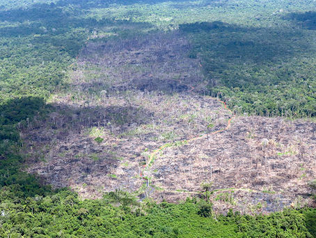 „Holzfäller machen kein Homeoffice“
