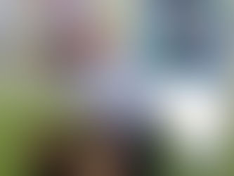 Ex-Präsident wohl in Stichwahl in Costa Rica