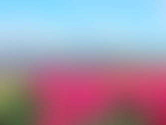 Wo ist es am schönsten?