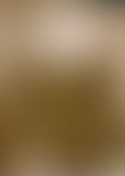 Aus den Regalen des Centro DIHA