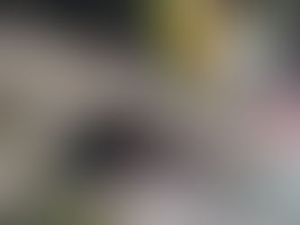 U-Bahnbrücke stürzt ein