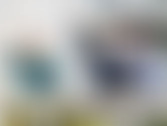 Niederlande geschockt