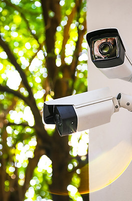 Security Cameras_edited.jpg