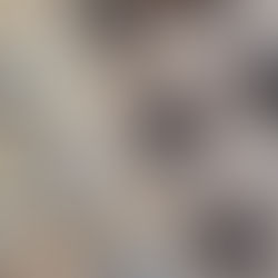 Spiced Christmas Cookies