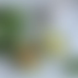 #NationalVegetarianWeek - Why Should I Reduce my Meat Consumption?