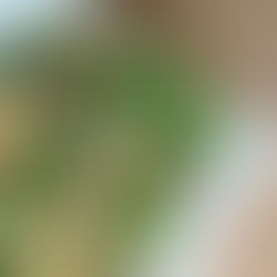 Gorgonzola and Peach Salad